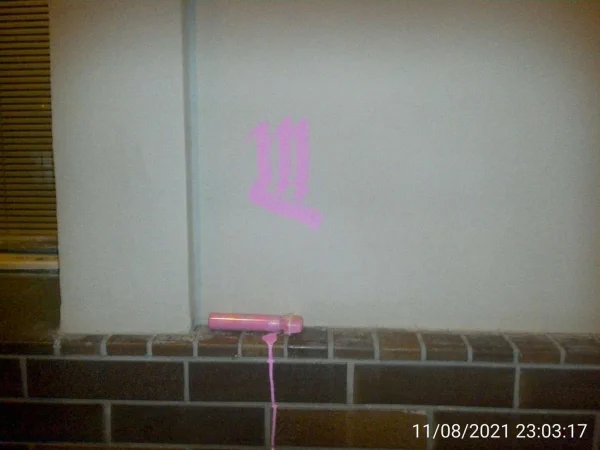 foto (2)